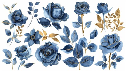 Set watercolor design elements of roses collection garden navy blue flowers leaves gold branches botanic illustration isolated on white background.