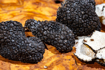 Cooking with Italian black summer truffle, tasty aromatic mushroom, close up