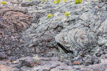 Ancient lava flow in New Mexico.