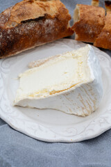 Delice de Bourgogne French cow's milk cheese from Burgundy region of France close up