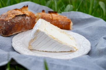 Delice de Bourgogne French cow's milk cheese from Burgundy region of France close up