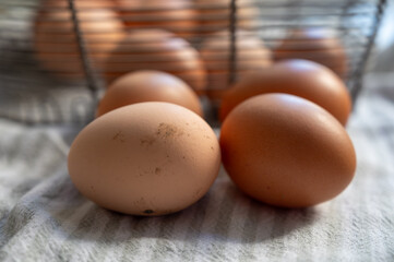 Organic brown chicken eggs from free-range organic farm in basket