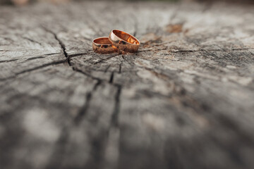 Two gold wedding rings are on a log. The rings are placed on top of each other, and the log is on a stone surface. Concept of love and commitment
