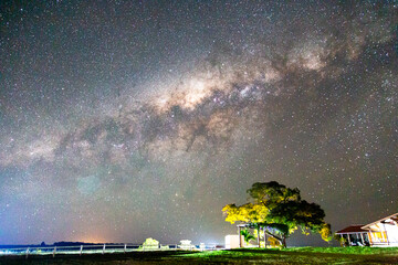 lacteal pathway in the field