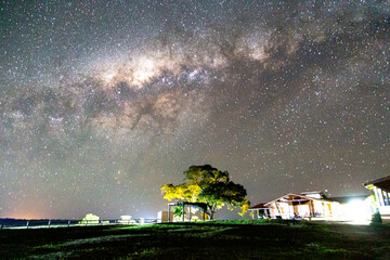 lacteal pathway in the field