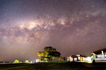 lacteal pathway in the field
