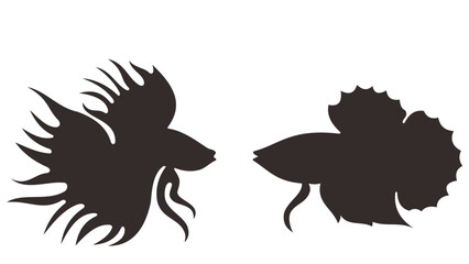 silhouette of a pair of betta fish with white background