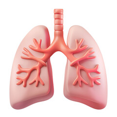 human lung anatomy 3d icon