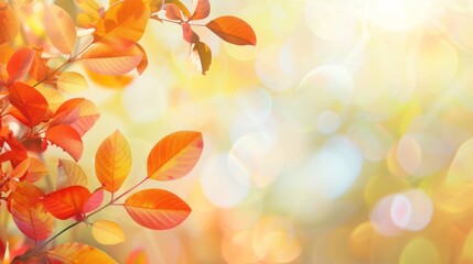 Autumn Leaves in Golden Sunlight