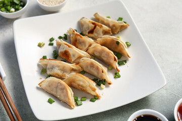 Plate with fried Japanese gyoza and cut green onion on grunge background