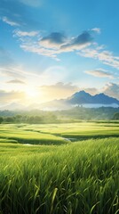 Obraz premium green wheat field background and copy space , generative ai