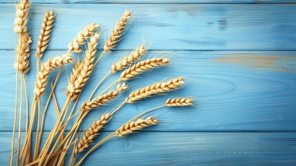 World Food Day Concept with Wheat Ears on Blue Wooden Background