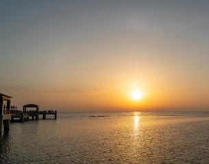Obraz premium Golden Horizons: Sunset Through the Palm Trees