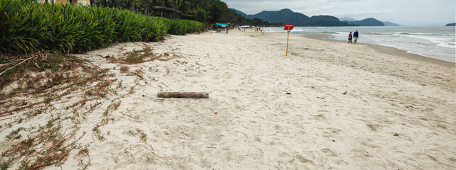 Sand beach sea river water stone rock cement sidewalk street road path nature vegetation...