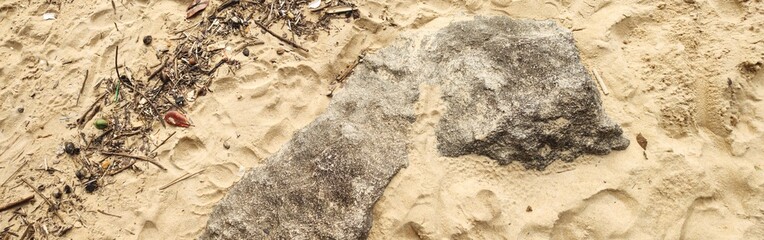 Sand beach sea river water stone rock cement sidewalk street road path nature vegetation undergrowth texture footprints repetition frequency pattern landscape foliage palm tree forest leaf sky