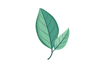 Leaf icon isolated on white background. Beautiful color leaf icon.