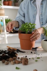 Woman transplanting herb into pot at white table, closeup