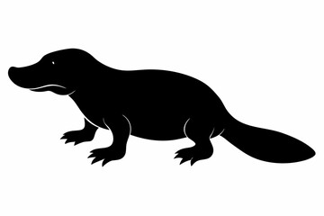 Platypus silhouette vector, Platypus icon, vector illustration
