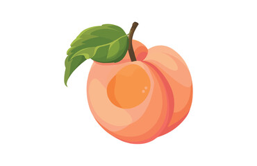 Peach icon isolated on white background. Beautiful color peach icon.