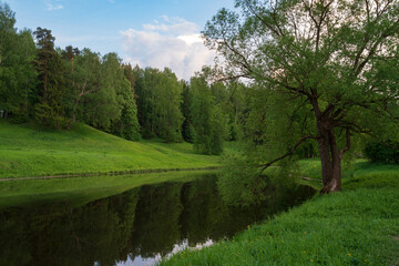 Slavyanka River Valley in the landscape part of the Pavlovsk Palace and Park Complex on a sunny summer day, Pavlovsk, Saint Petersburg, Russia