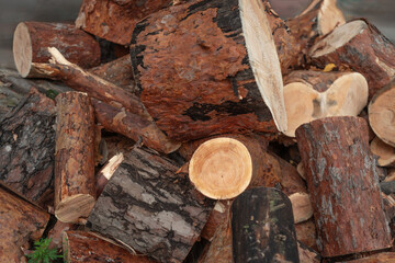 Pile of Tree Parts Slice Stump, Log end Other Tree Trunk Parts for Wallpaper Background. Selective Focus Photo.