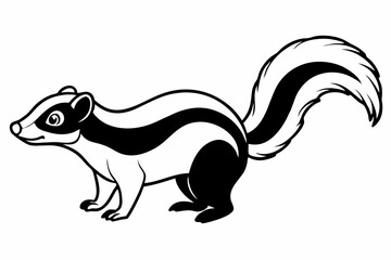 
skunk silhouette vector line art isolated on white background

