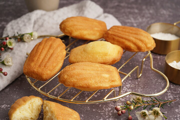 Grid with tasty madeleines on grey background