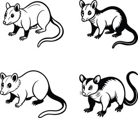 set of rat animals