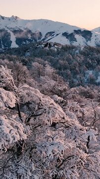 Bosque Nevado en Invierno en las Monta&ntilde;as -Video de Drone Vertical 