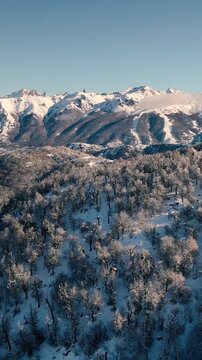 Bosque Nevado en Invierno en las Monta&ntilde;as -Video de Drone Vertical 