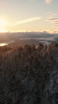 Bosque Nevado en Invierno en las Monta&ntilde;as -Video de Drone Vertical 