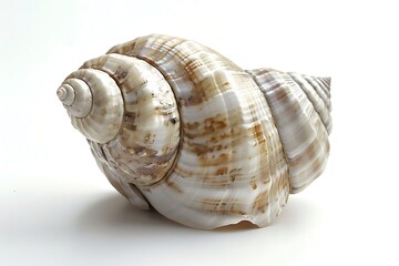 Broochon isolated on white background.