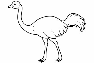 Funny Ostrich Vector Illustration Cartoons, Clipart, Line Art Design White Background, Funny ostrich vector illustration, cartoons, clipart, and line art design on white background.