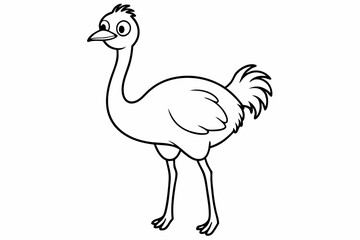 Funny Ostrich Vector Illustration Cartoons, Clipart, Line Art Design White Background, Funny ostrich vector illustration, cartoons, clipart, and line art design on white background.