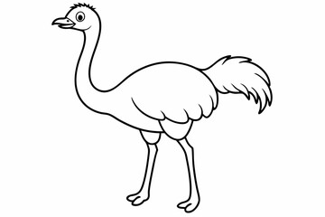 Naklejka premium Funny Ostrich Vector Illustration Cartoons, Clipart, Line Art Design White Background, Funny ostrich vector illustration, cartoons, clipart, and line art design on white background.