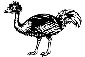 Funny Ostrich Vector Illustration Cartoons, Clipart, Line Art Design White Background, Funny ostrich vector illustration, cartoons, clipart, and line art design on white background.