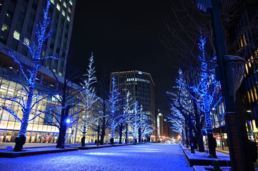 アカプライルミネーション