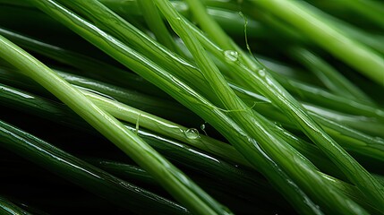 Fototapeta premium hairs macro green onion