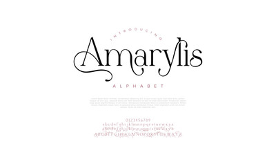 Amarylis swash luxury elegant alphabet letters and numbers. Vintage wedding typography classic serif font decorative vintage retro. creative vector illustration