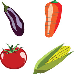 vector illustration of vegetable images. eggplant. tomato. carrot. corn