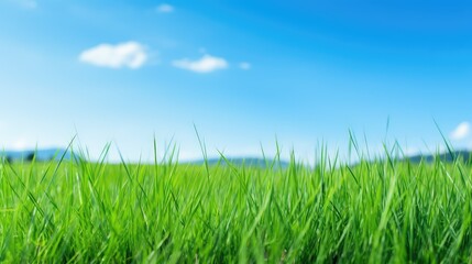 ecology environmental green