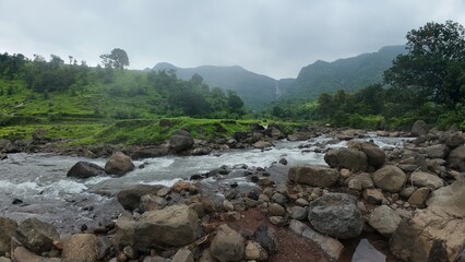 Stream flowing over small rocks with Shayadri hill in background, lush greenery during monsoon. © sumit