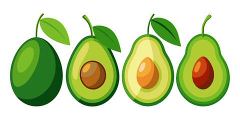 Assorted Avocado Fruit Illustration in Various Styles 