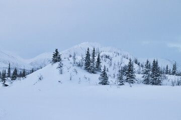 Trees on snowy hill with mountains in the distance on a cold winter day near Castner Cave in Alaska.