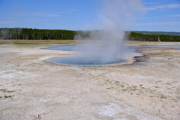 Celestine Pool hot spring landscape, at Lower Geyser Basin of Yellowstone National Park in USA