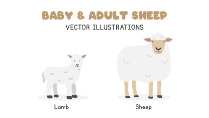 Sheep and lamb vector illustrations. Adult and baby sheep cartoon clipart in flat style. Farm animals concept
