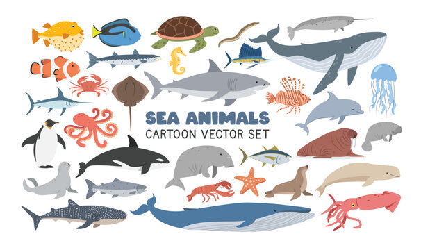 Sea animals vector illustration set. Marine life cartoon clipart in flat style. Sharks, Whales, Dolphin, Fish, Penguin, Seal, Sea Lion, Octopus, Jellyfish, Turtle, Crab, Lobster, Stingray flat vector