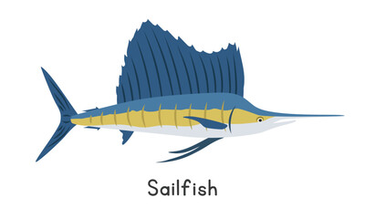 Sailfish vector illustration. Sailfish cartoon clipart, animal in flat style. Sea animals, underwater creatures, ocean animals, marine life concept. Sailfish vector design isolated on white background