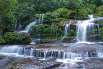 Obraz premium waterfall in the forest