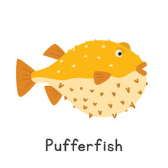 Pufferfish vector illustration, cartoon clipart, animal in flat style. Sea animals, underwater creatures, ocean animals, marine life concept. Blowfish vector design